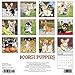 Just Corgi Puppies 2020 Wall Calendar (Dog Breed Calendar)