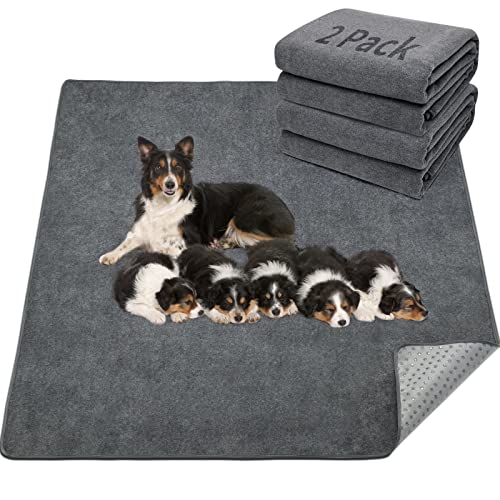 LOOBANI Reusable Dog Floor Mat