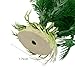 Saim Large Aquarium Plants Plastic 12 Inch Artificial Green Seaweed Water Plants Fish Tank Plants Decorations