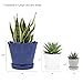 CHIVE ‘Tika’ Big Succulent Pot — 5” Cute Planter Pots for Indoor Plants — Beautiful Modern Decor for Home & Kitchen — White