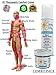 Active Life Natural Pain Relief Cream. 5 oz + 1 oz Combo Pack. All Natural Relief for Joint Pain, Muscle Soreness and Skin Irritations.