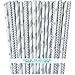 Outside the Box Papers Silver Stripe, Chevron and Star Paper Straws 7.75 Inches 75 Pack Silver, White