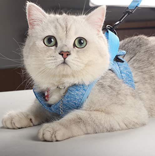 Kitten Cat Harness and Leash Set Ultra-Light Kitten Collar Soft and Comfortable Cat Walking Jacket with Running Cushioning and Anti-Escape Suitable for Puppies Rabbits with Cationic Fabric (M, Blue)