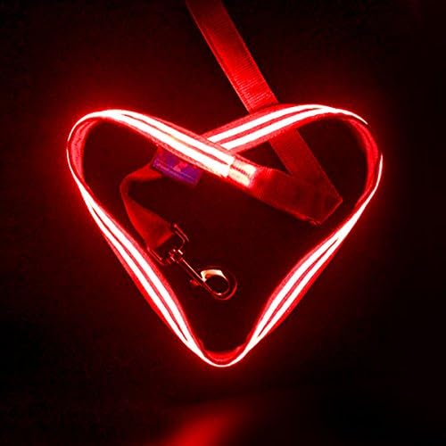 Shine for Dogs Light up LED Glowing Dog Leash, USB Rechargeable (Cable Included) Make You & Your Dog Visible - 5 Colours (Blue, Red, Green, Lime and Pink) - See Matching Rechargeable Collars