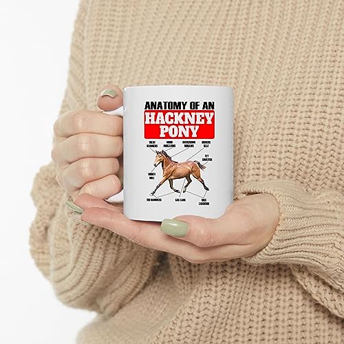 Lovesout Funny Bay Hackney Pony Anatomy Chart