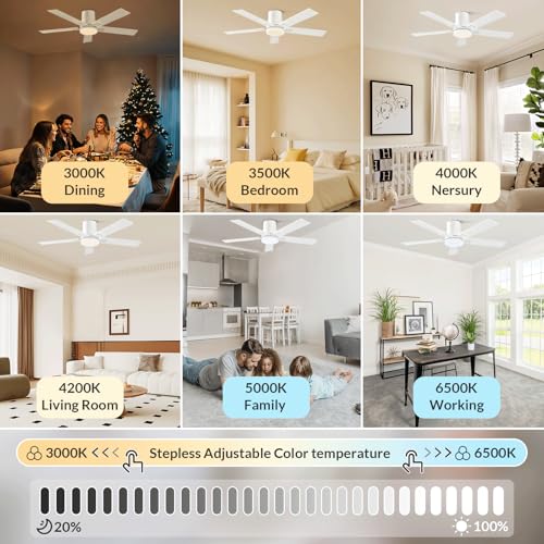 Newday 48inch White Ceiling Fan, Flush Mount Ceiling Fan with Remote Control, Quiet DC Motor, 2 Color Blade, Stepless Dimmable LED 24W, 7 Speed Mode, Memory Function for Bedroom, Living Room