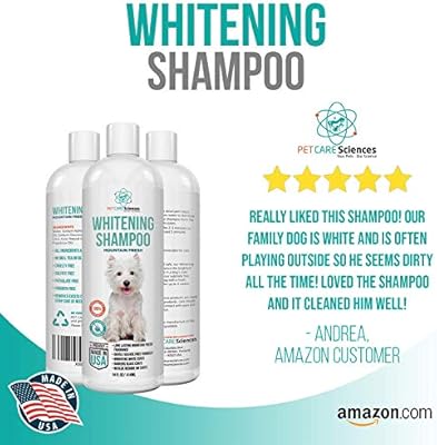 whitening shampoo on black dog
