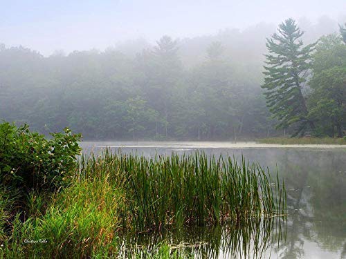 Amazon Com Sunrise Scenic Lake Picture Landscape Print Rustic