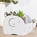 Cell Phone Stand, HomJoy Elephant Pencil Holder with Phone Holder Desk Organizer Desktop Pen Pencil Mobile Phone Bracket Stand Storage Pot Holder Container Stationery Box Organizer