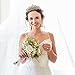 Sppry Gorgeous Baroque Rhinestone Tiara Crown for Bridal Princess Women at Wedding Birthday Pageant (Gold)