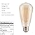 Incandescent and led s14 ST64 string lights