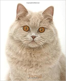 Journal Cat With Orange Eyes British Shorthair Cat Journals