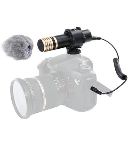 DMW-MS2 ステレオガンマイクロホン 41DluAO6W+L.jpg_BO30,255,255,