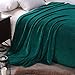 Exclusivo Mezcla Fleece Blanket for Bed, Super Soft and Warm Teal Queen Blankets, All Season Use, Cozy, Plush, Lightweight, 90x90 inches