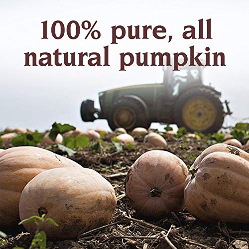 Libby's Pumpkin Puree - Image 2