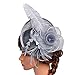 Valdler Halloween Black Costume Feather Net and Veil Fascinator Hair Clip Hat Hair Accessories Clip for Festival Party