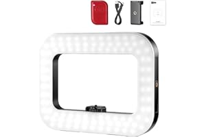 NEEWER Entry Level Version Phone Video Rig with Light, Handheld Stabilizer with 20W Bi Color LED Square Ring Light, 3 Cold Sh