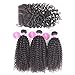 ISEE Hair Virgin Malaysian Deep Curly Jerry Curly Human Hair 3 Bundles With 4x4 Free Part Lace Closure,100% Unprocessed Human Curly Hair Extensions(16