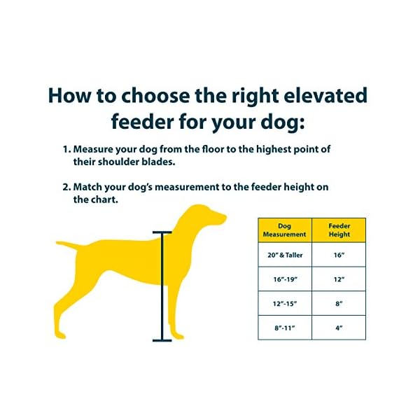 pet zone designer diner