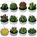 mifengda 12 PCS Cute Succulent Cactus Candles Smokeless Cactus Tealight Candles Delicate Decorative Candles for Valentine's Day Birthday House-Warming Party Wedding Spa Home Decoration Gifts