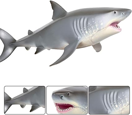hollow shark toy