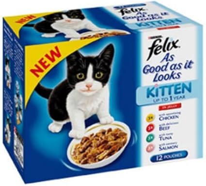 felix cat food kitten