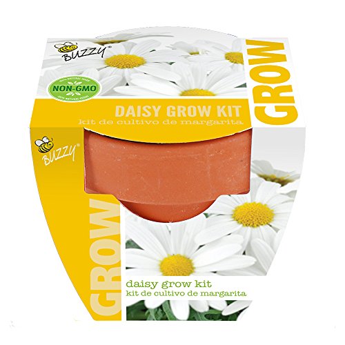 Buzzy 95520 Daisy Mini Grow Pot