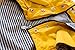 Ellie Dog Wear Yellow Zip Up Dog Raincoat with Reflective Buttons, Pockets, Rain/Water Resistant, Adjustable Drawstring, Removable Hoodie - Extra Small to Extra Large - Stylish Dog Raincoats (L)