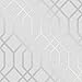 Quartz Trellis Geometric Wallpaper Silver and Grey Fine Decor FD42304