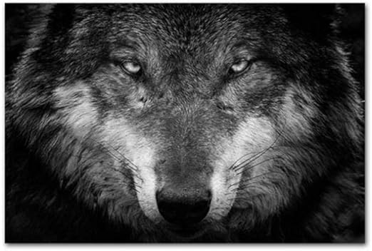 Nórdico, Negro, Blanco, Cabeza de Lobo, Mural, Cuadro, Lienzo, Pintura