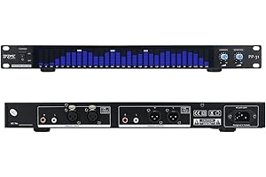 TZT BDS PP-31 Blue Digital Audio Spectrum Analyzer Display 1U Music Spectrum VU Meter 31 Segments