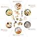 Hamster Chew Toys, Natural Wooden Pine Guinea Pigs Rats Chinchillas Toys Accessories Dumbells Exercise Bell Roller Teeth Care Molar Toy for Birds Bunny Rabbits Gerbils