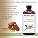 Majestic Pure Essential Oil (4 fl oz, Jojoba Oil)