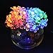 LOENDE Battery Operated String Lights, Waterproof Dimmable Multi-Color Flower String Lights for Valentine's, Thanksgiving, Party, Outdoor, Indoor, Holiday, Christmas, Wedding Decorations