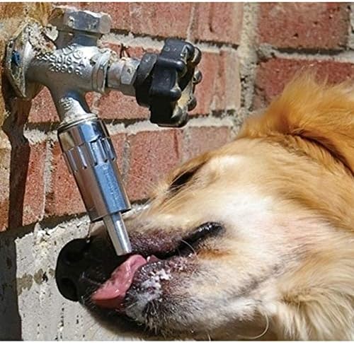 lixit dog faucet waterer