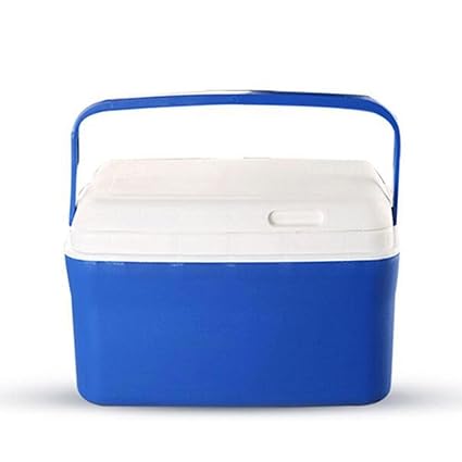 Nevera portátil 10 L Mini de frigorífico camping playa picnic ...