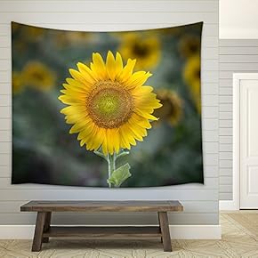 Closeup of Sunflower in Field - Fabric Wall Tapestry Home Decor - 51x60 inches