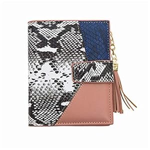 51gfcz%2BTTML. SS300