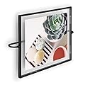 Umbra Phantom Wall Picture Frame, 8 x 10, Floating Frame, Black