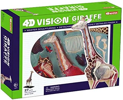 Amazon Co Jp 4dキリンモデル取り外し可能なパズル組み立ておもちゃの解剖学動物の臓器の骨格モデル教育モデル ホーム キッチン