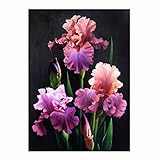 Alonea DIY 5D Embroidery Paintings Rhinestone Pasted Diamond Painting Cross Stitch (A)