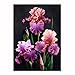 Alonea DIY 5D Embroidery Paintings Rhinestone Pasted Diamond Painting Cross Stitch (A)