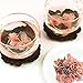 Japanese cherry blossom blooming floral Product of Japan salt-pickled sakura cherry blossom cha Authentic Japanese Origin 40g (1.40 oz)