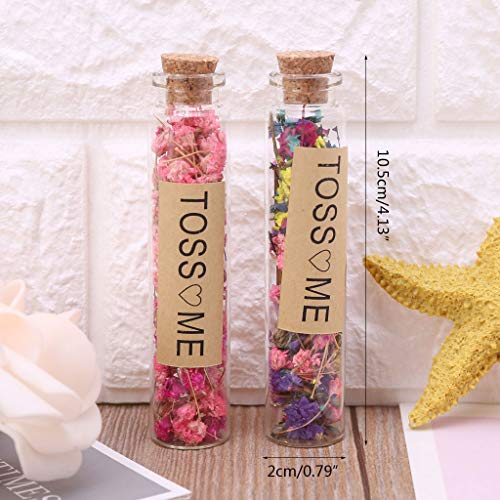 Because0f Dried Flower Confetti Bottle, Push Pop Container, Bridesmaid Shooters Wedding Birthday Party Favors Supplies (#33)