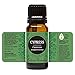 Edens Garden Cypress- Italian Essential Oil- 100% Pure Premium Grade, Undiluted, Natural, Therapeutic, Aromatherapy, The Best for Diffuser, Skin, Candle, Humidifiers 10 ml (.33 fl oz)