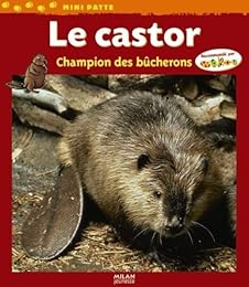 Le  castor