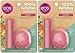 eos Natural & Organic Sphere & Stick Lip Balm - Honey | Certified Organic & 100% Natural | Deeply Hydrates and Seals in Moisture | 0.25 oz. Sphere | 0.14 oz. Stick | 2 Sticks, 2 Spheres