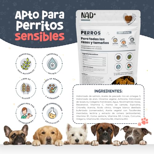 Waggy’s NAD+ - Suplemento Longevidad y Antiedad Perros | Energía, Prevención y Función Cognitiva | Salud Celular y Vitalidad | Precursor NAD+, Complejo B, Resveratrol y Colágeno | 60 Soft Chews