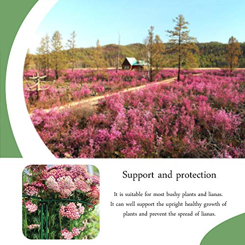 HiGift Garden Support Hoop Stakes, 2-Pack Semicircular Metal Plant Prop Ring Cage, Garden Plant Support Ring, Border Support, Plant Support Rods for Rose Hydrangea Vine, Width 10" x Height 15.8"
