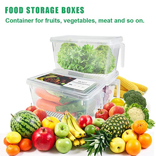 Produce Saver Containers for Refrigerator 4.5L x 3 SILIVO FreshWorks